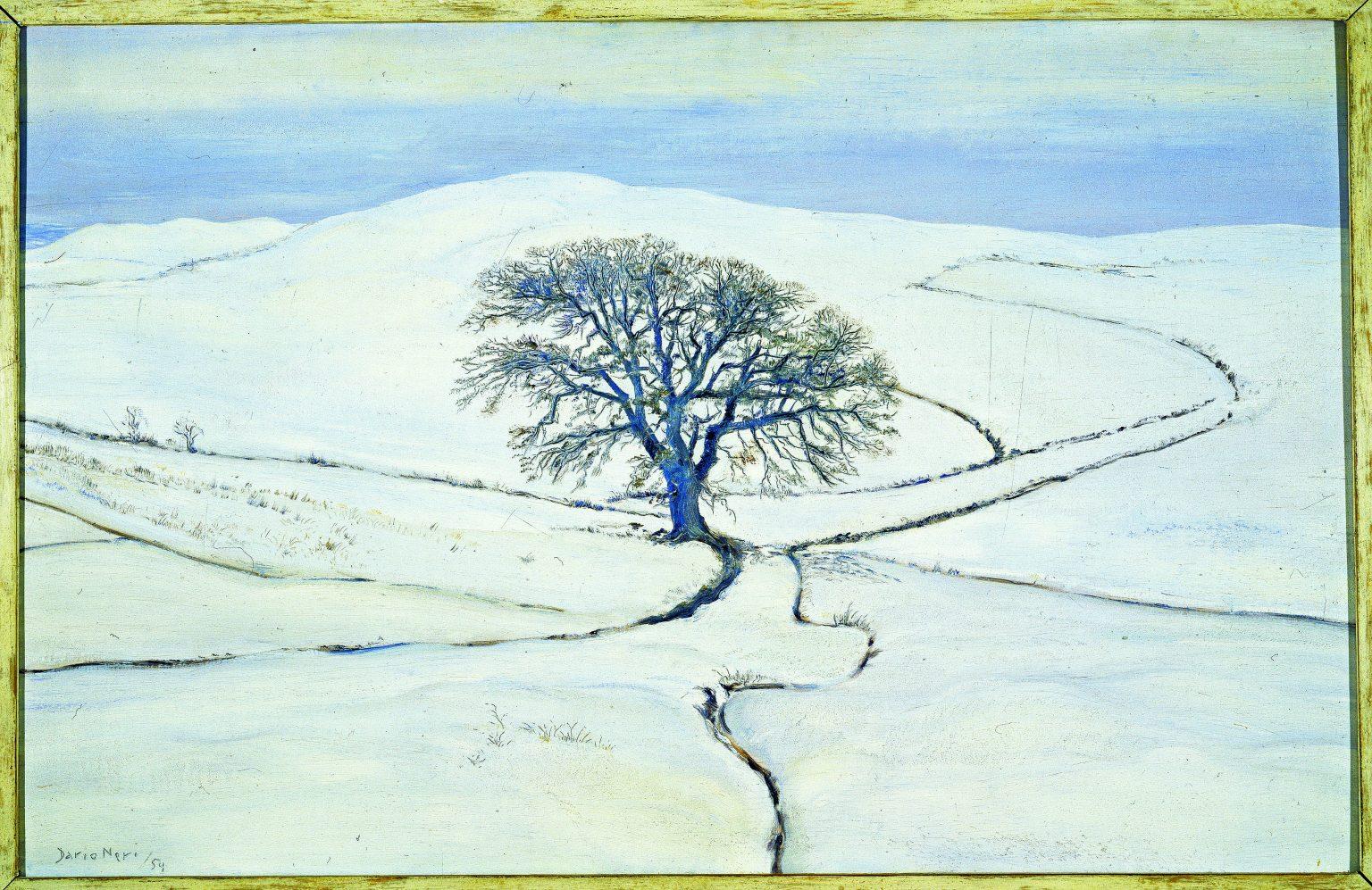Dario Neri, La querce nella neve, 1954. Collezione privata