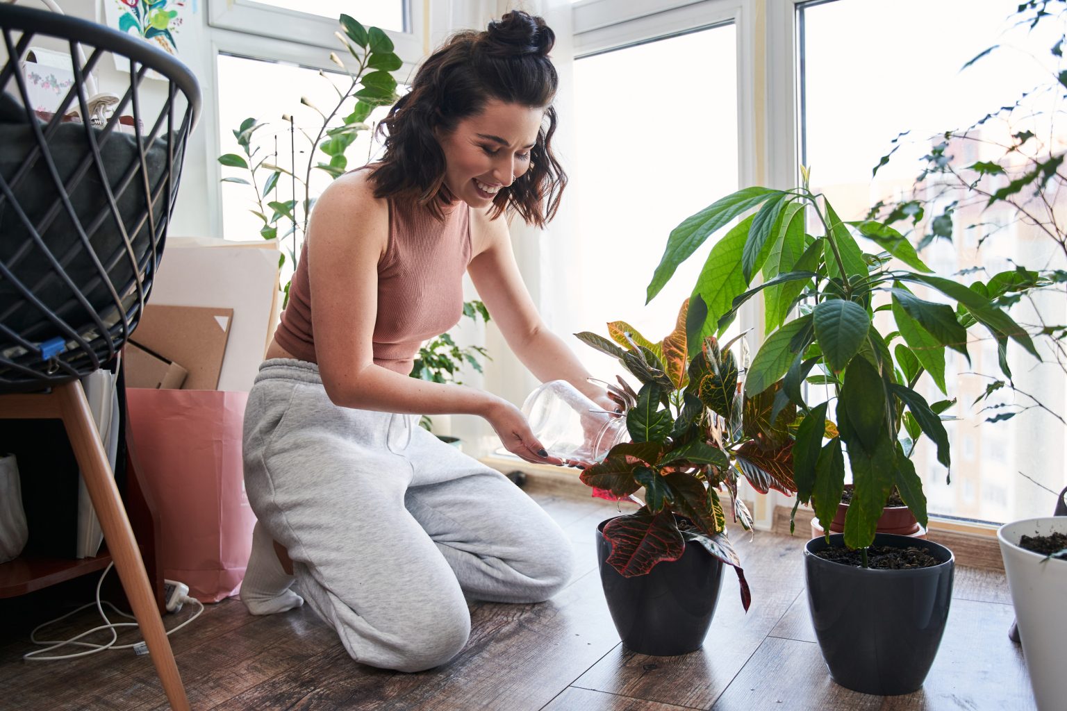 10 piante da interno che purificano l'ambiente
