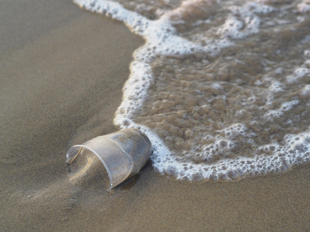 Che cos'è la plastica biodegradabile 2 Che cos'è la plastica biodegradabile Greentomeet
