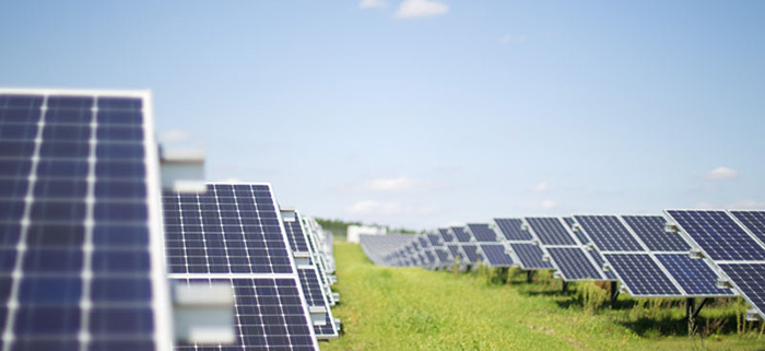 Legge di bilancio 2022. Flash Greentomeet