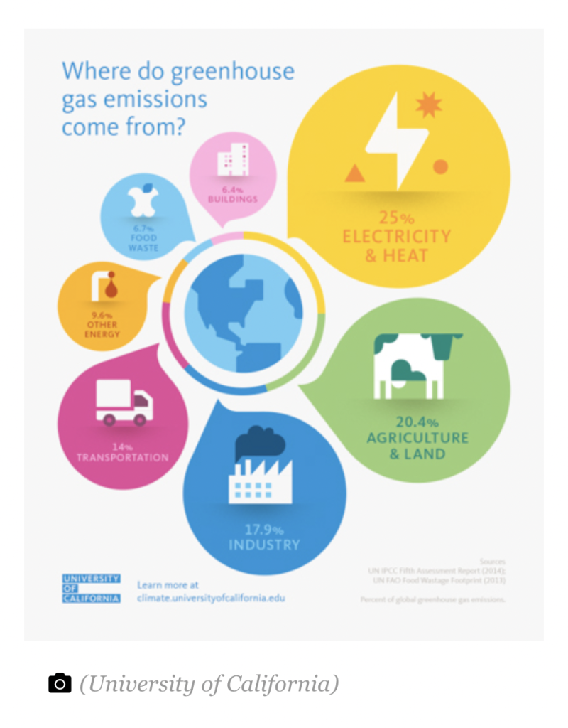Facciamo chiarezza sulle emissioni Greentomeet