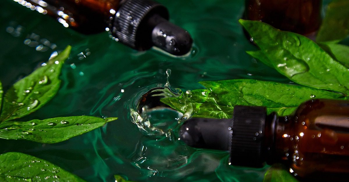 4 cose che ti voglio dire subito sulla medicina ambientale Greentomeet