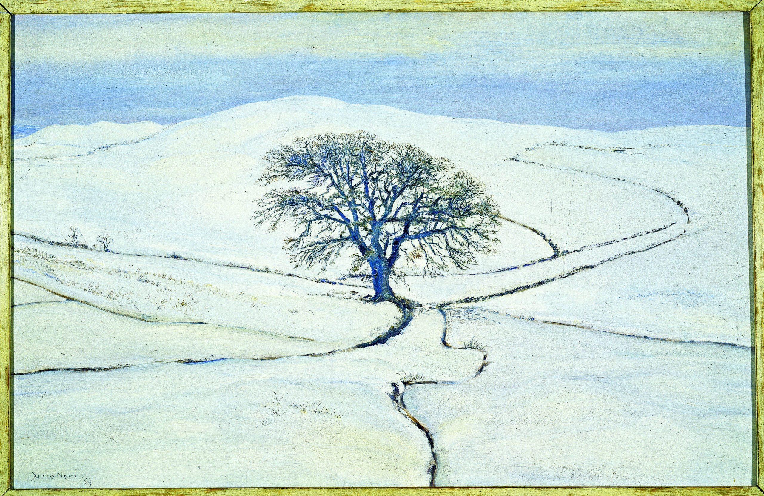 Dario Neri, La querce nella neve, 1954. Collezione privata