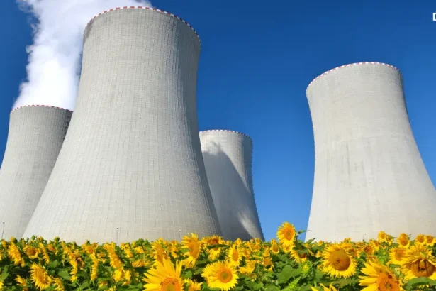 Il nuovo nucleare è davvero pulito? La parola agli esperti