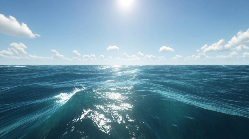 Stati Uniti in allarme: le acque si innalzano e i fondali si impoveriscono